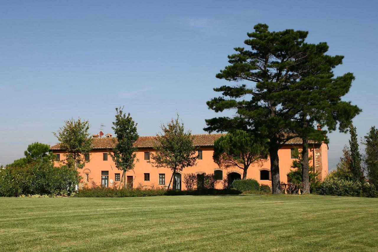 La Magnifica B&B Fauglia ภายนอก รูปภาพ