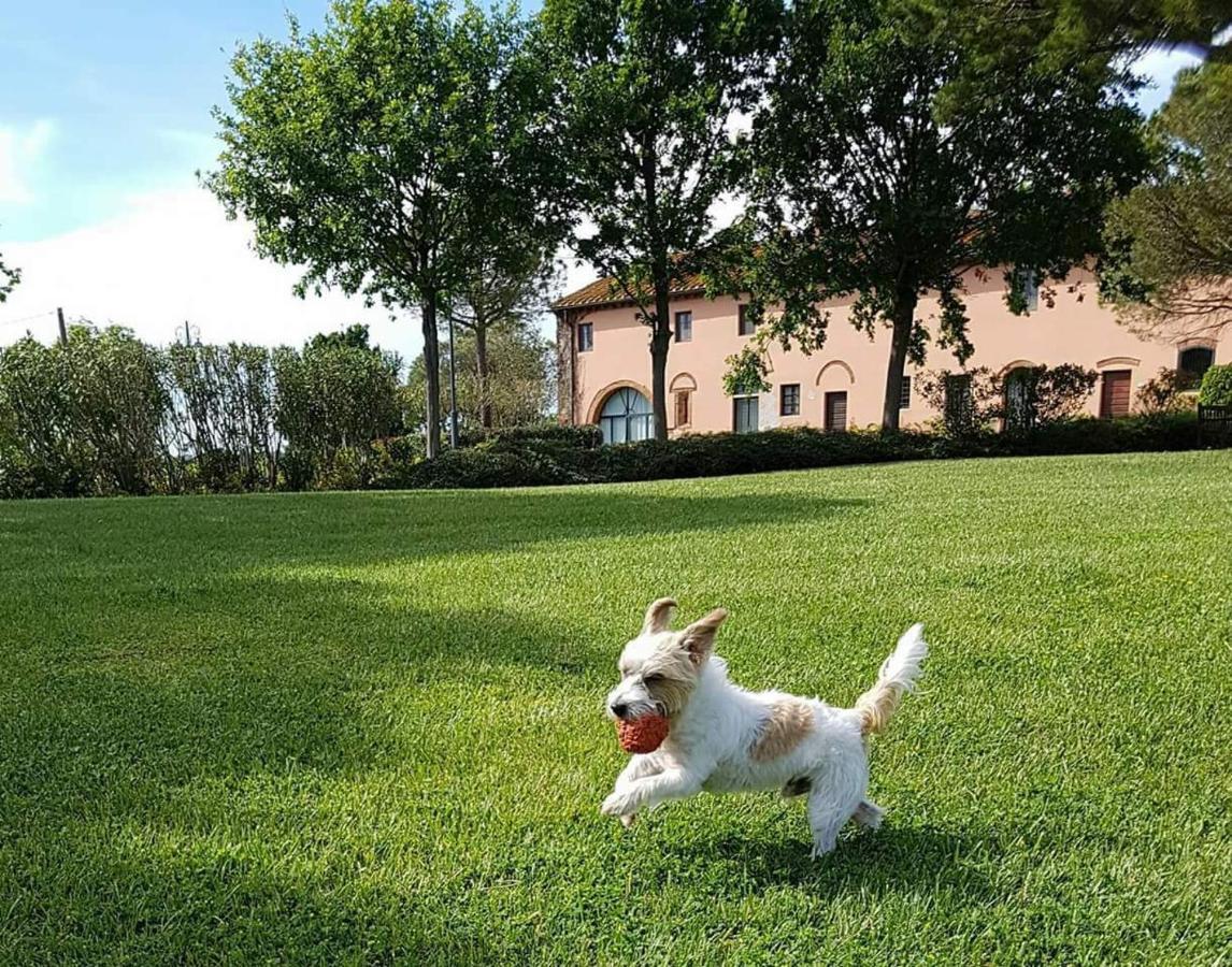 La Magnifica B&B Fauglia ภายนอก รูปภาพ
