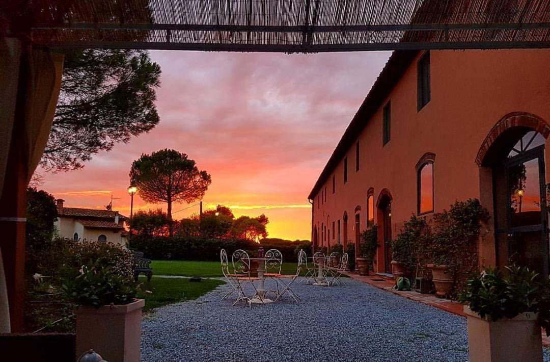 La Magnifica B&B Fauglia ภายนอก รูปภาพ